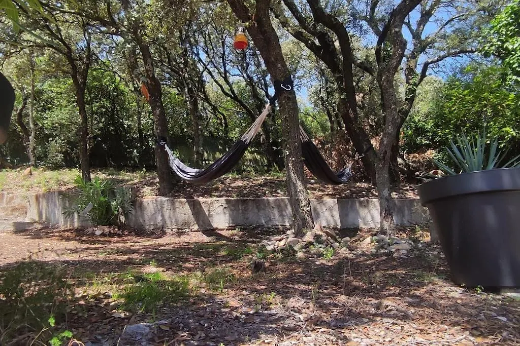 Le Petit Clos Des Chenes - 100% Privatif Villeneuve-les-Avignon France